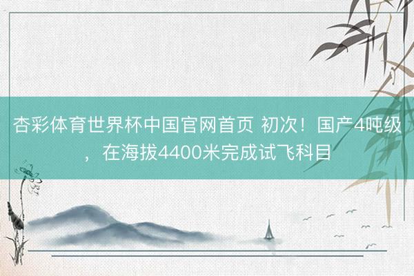 杏彩体育世界杯中国官网首页 初次！国产4吨级，在海拔4400米完成试飞科目